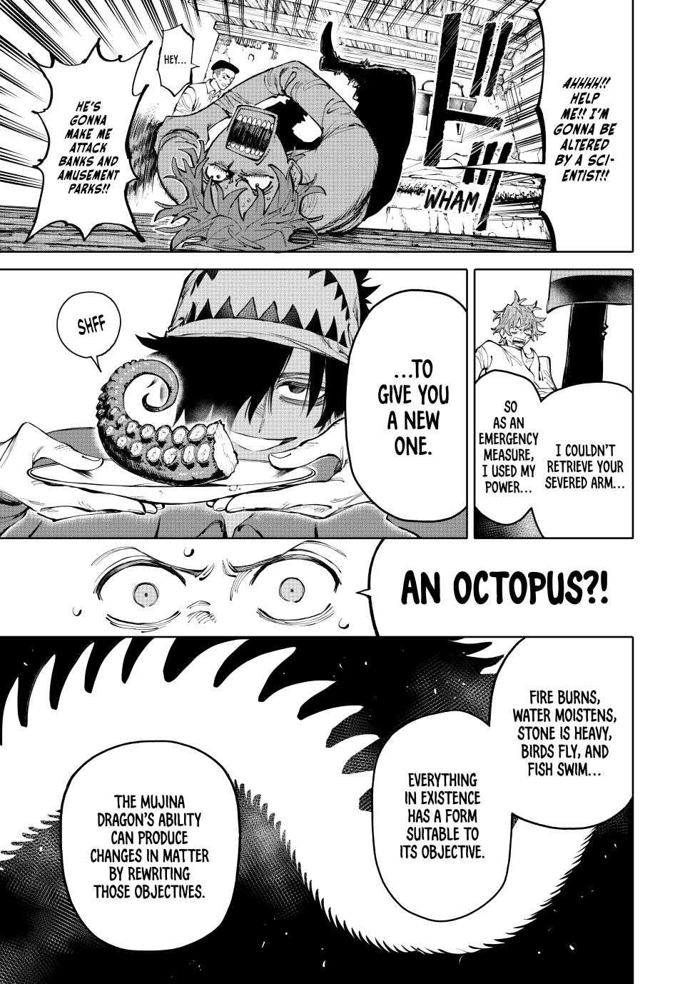Chapter 25 (Fighter) image 3